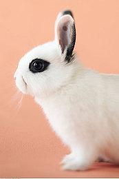 《星空》首发不提供FOV设置 又要交给玩家自己解决了